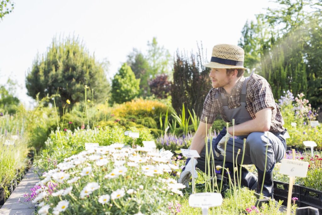 Formation floriclture