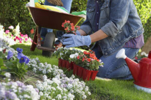 floriculture-jardin