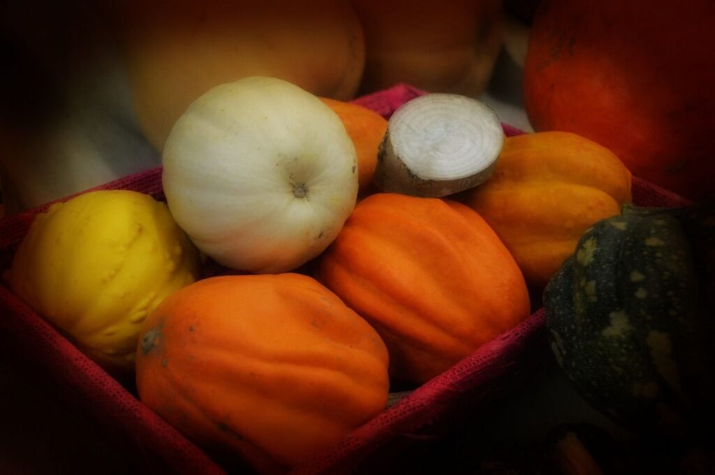 conservation du potimarron