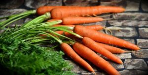cultiver des carottes